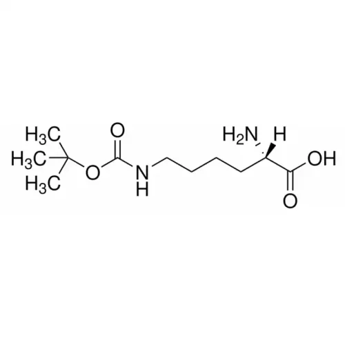 H-Lys(Boc)-OH CAS 2418-95-3