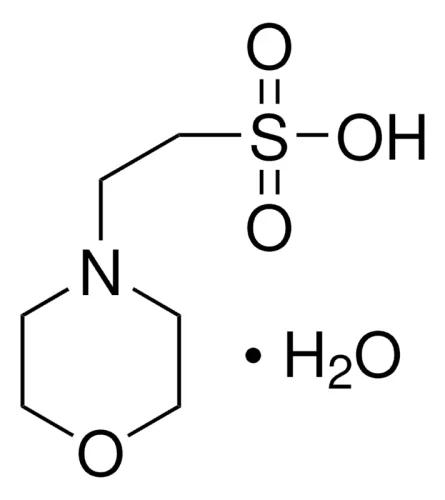 2-Morpholinoethanesulfonic acid monohydrate CAS 145224-94-8