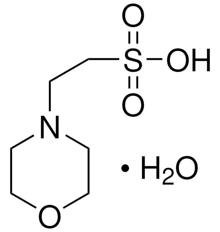 2-Morpholinoethanesulfonic acid monohydrate CAS145224-94-8