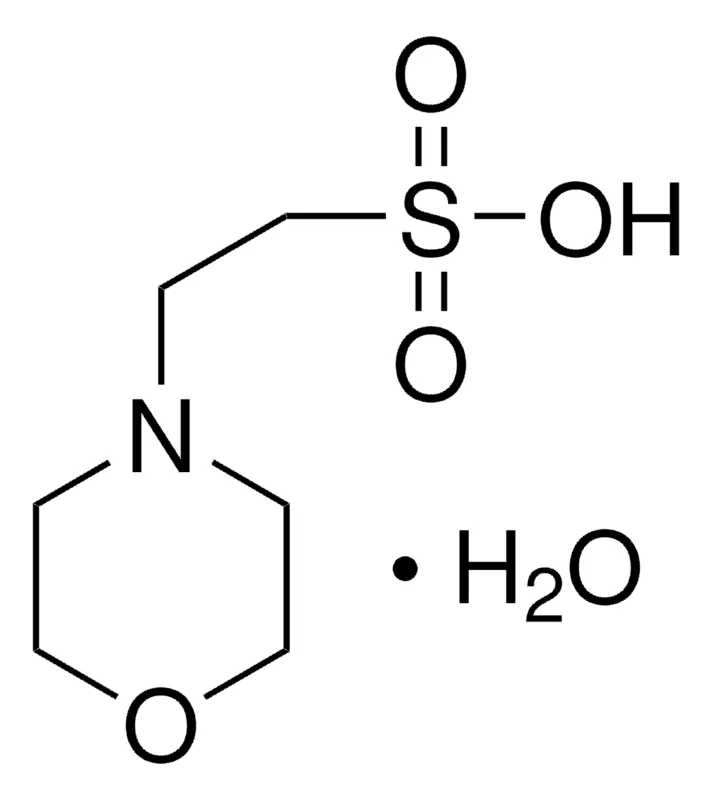 2-Morpholinoethanesulfonic acid monohydrate CAS145224-94-8