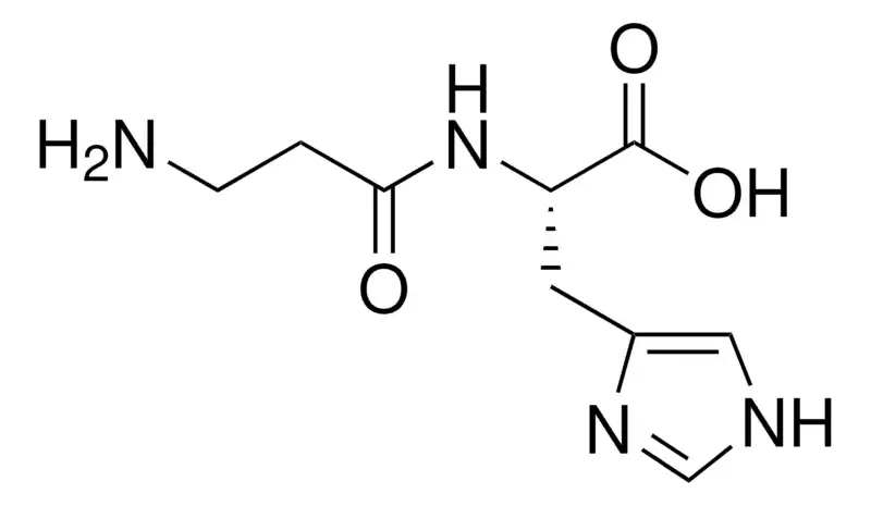 L-Carnosine CAS305-84-0