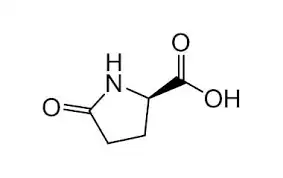 (R)-(+)-2-Pyrrolidone-5-carboxylic acid CAS 4042-36-8