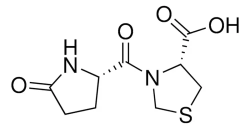 Pidotimod CAS 121808-62-6