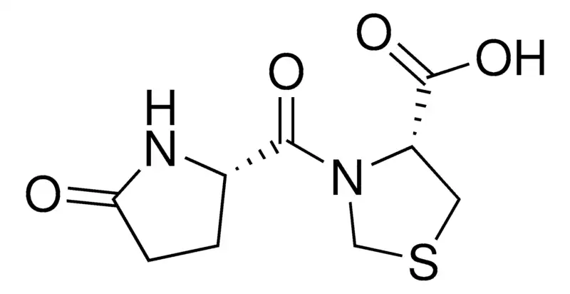 Pidotimod CAS121808-62-6