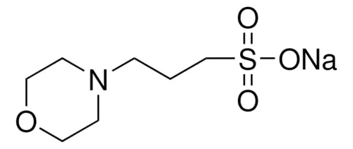 MOPS sodium salt CAS 71119-22-7