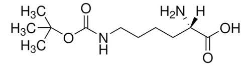 H-Lys(Boc)-OH CAS 2418-95-3