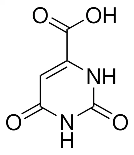 Orotic acid CAS 65-86-1