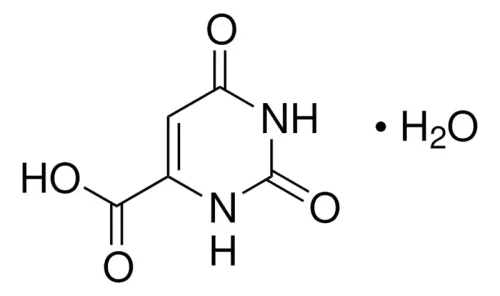 Orotic acid monohydrate CAS 50887-69-9