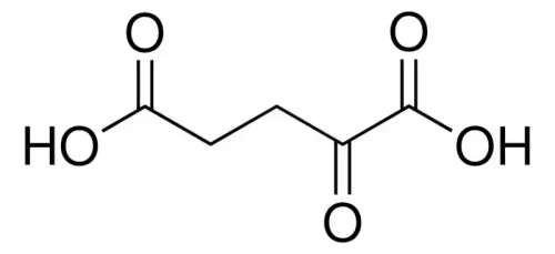 α-Ketoglutaric acid CAS 328-50-7